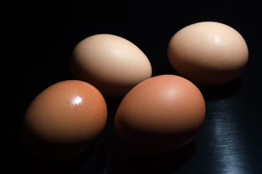 Chicken egg 03