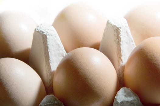 Chicken egg 06