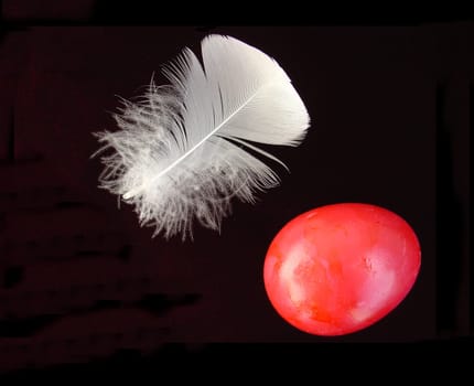 Egg and feather