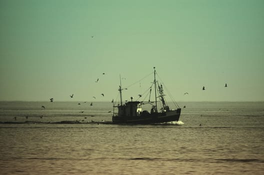 Return of the fishermen