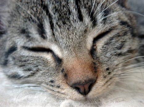 I've heard you,but I won't open my eyes!