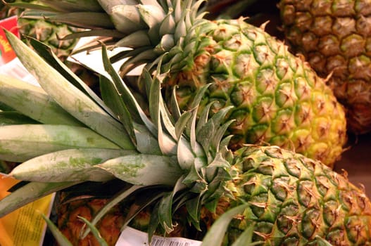 Pineapple