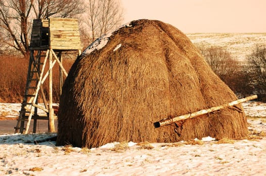 In the countryside