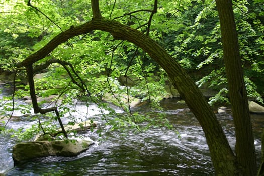 Bodetal near Thale in the Harz Mountains
