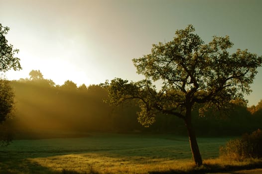 Now the time begins again when the sun comes up very quickly. You really have to catch the right moment. Here I was already a little too late. But I still didn't want to "dispose of"" the photo because it should show us that"
