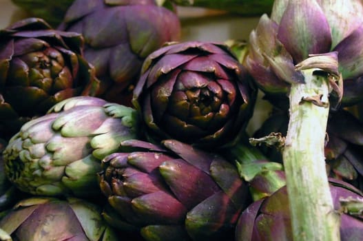 The color of this vegetable fascinates me....