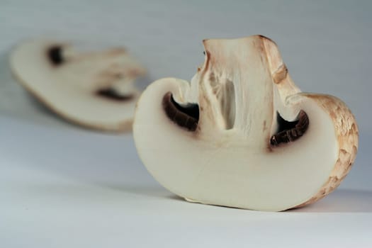 Mushroom