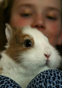 My Rabbit and I,No.2
