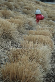 Hydrant