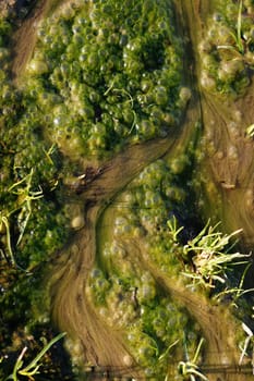 From the air