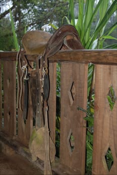 Saddle