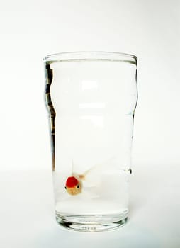 A pint of fish...
