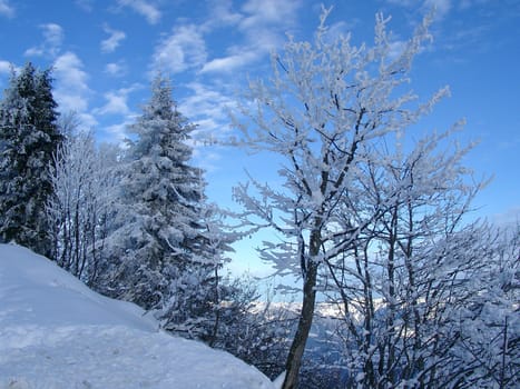 Winter impressions