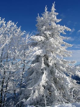Winter impressions
