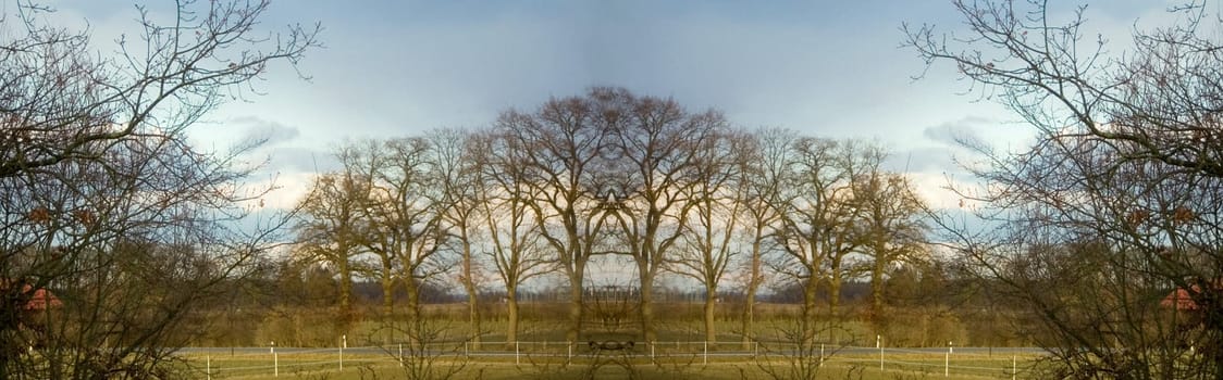 Panorama