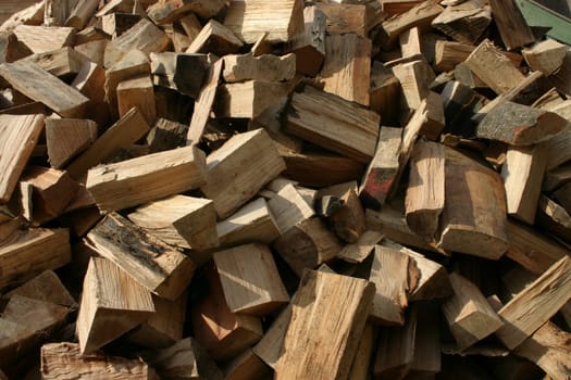 Firewood logs just delivered (dumped off the truck)