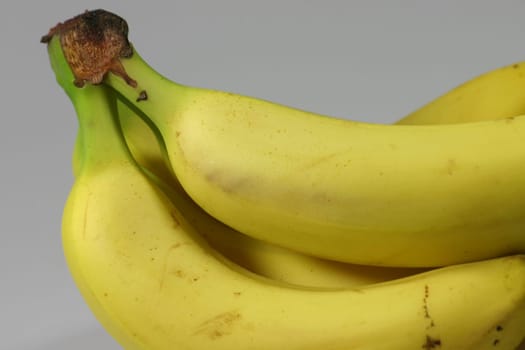 Some ripe bananas