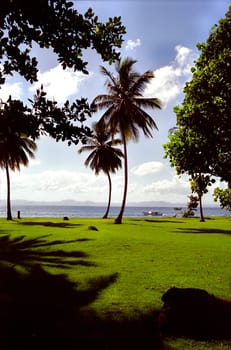 Caribean Feeling