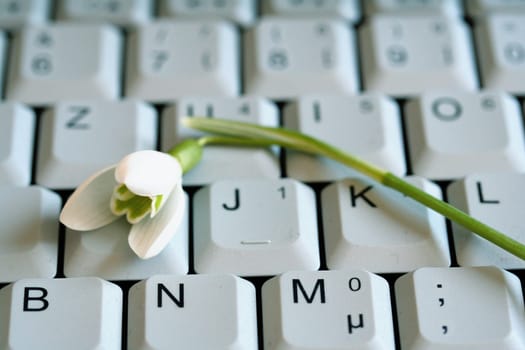 Laptop Spring