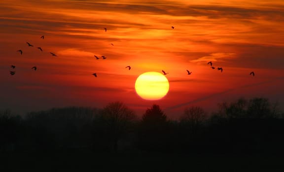 I have implemented Anja's tip and cropped the photo below a bit. Greeting Bea