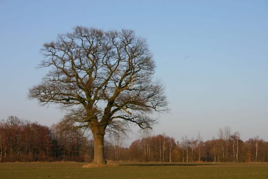 near Steinhorst near Delbrück