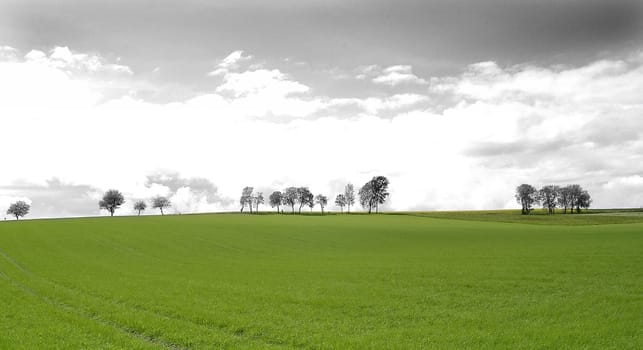 Landscape 5