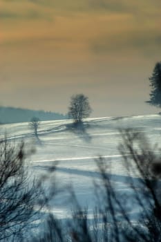 Winter Evening 01