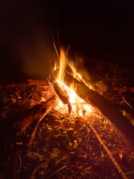 fireplace with burning firewood at night.