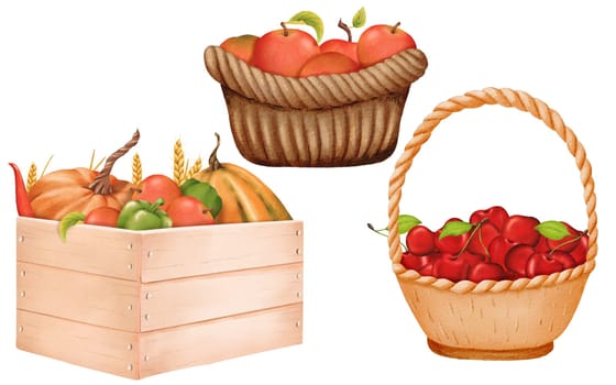 bountiful set. Vegetables in a wooden crate: pumpkins, paprika, chili peppers, and wheat sheaves. Crunchy red apples in a woven basket. Juicy, ripe, vibrant cherries. Watercolor digital illustration.
