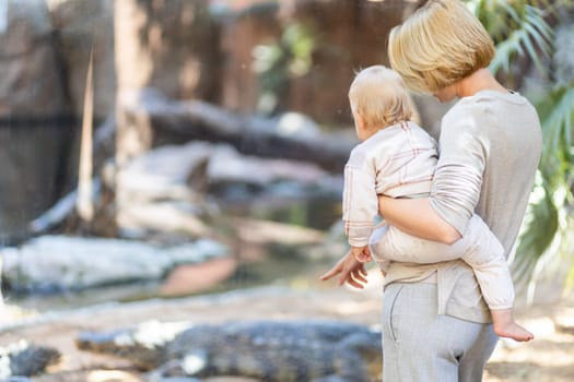 Caucasian blonde mother holding her infant baby boy child in her lap watching crocodile in zoo. Happy family having fun with animals safari park on warm summer day.