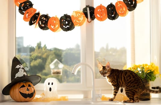 Halloween concept. Beautiful Bengal cat. A pumpkin with a painted face, a white ghost and a bouquet of yellow chrysanthemum flowers in a black vase against the background of a window in a home interior.