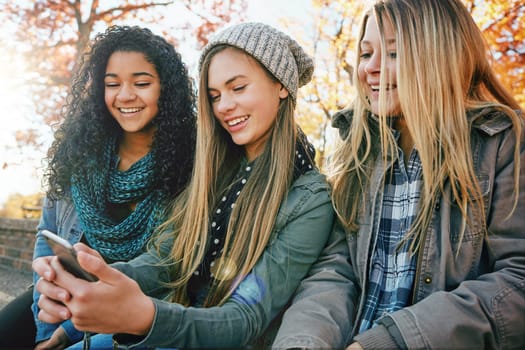 Phone, social media or girl friends in park with smile together for holiday vacation bonding outdoors. Teenager, gossip or happy gen z people in nature talking, speaking or laughing at a funny meme.