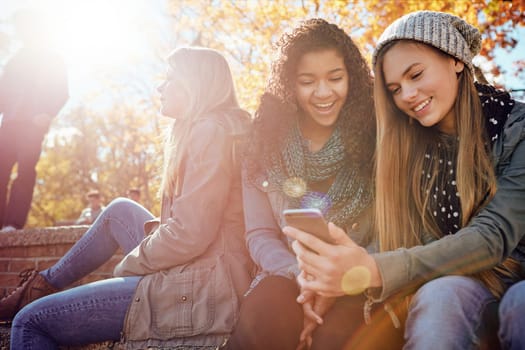 Phone, students or girl friends in park with smile for holiday vacation on funny social media post together. Happy people, gossip or gen z girls in nature talking, speaking or laughing at comedy joke.