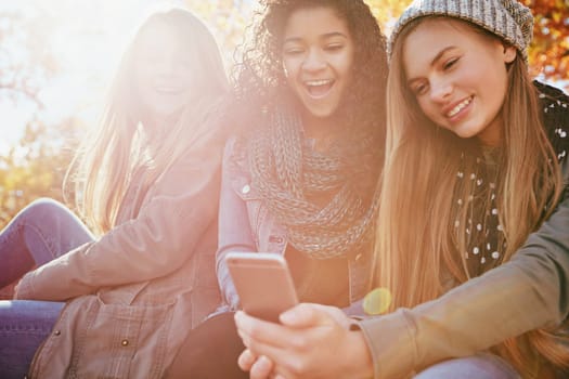 Phone, meme or funny friends in park with smile for holiday vacation on social media post for gossip news. Happy people, drama or gen z girls in nature talking, speaking or laughing at comedy joke.