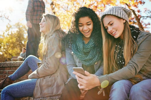 Phone, teenager gossip or friends in park with smile for holiday vacation on funny social media post or meme. Happy people, drama or gen z girls in nature talking, speaking or laughing at comedy joke.