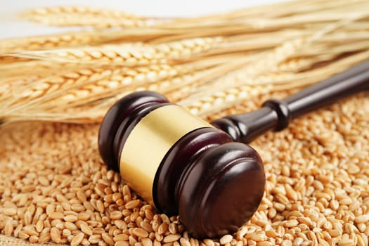 Judge hammer on wheat grains from organic agriculture farm, agricultural law concept.