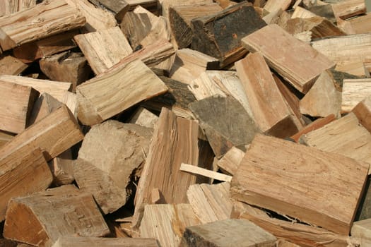 Firewood logs just delivered (dumped off the truck)
