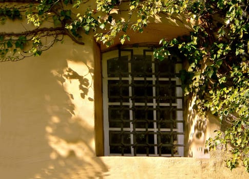 Window to the courtyard