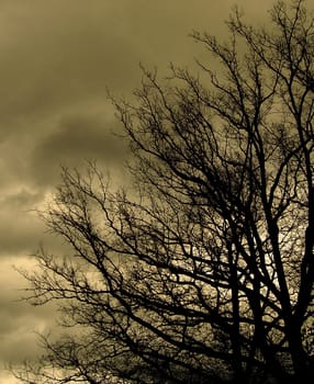 Gloomy...