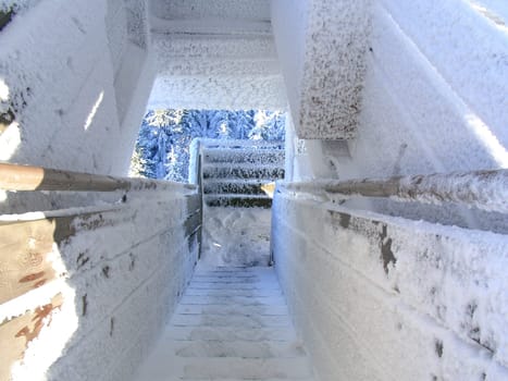 The ice-cold descent