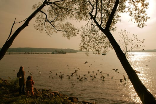 Evening at the lake