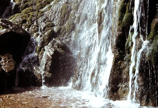 Scan from slide