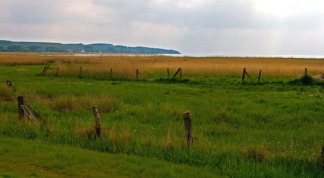 View