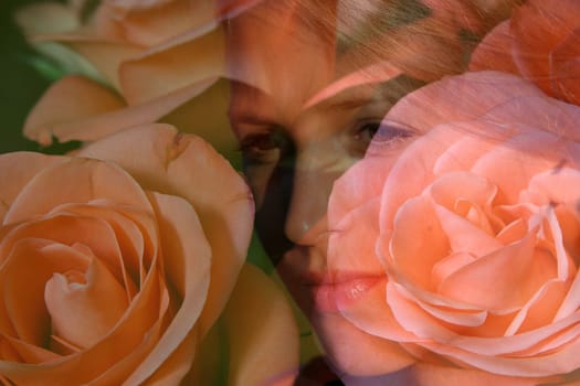 Nature,Fauna,Flower,Pink,Green,Green,Flower,Blossom,Rose,Plant, calyx,calyx,thorns,prickly,biology,girl,girl, Woman,face,eyes,mouth,dreaming,reverie, Dream,Longing,Love,Overlay,Overlay