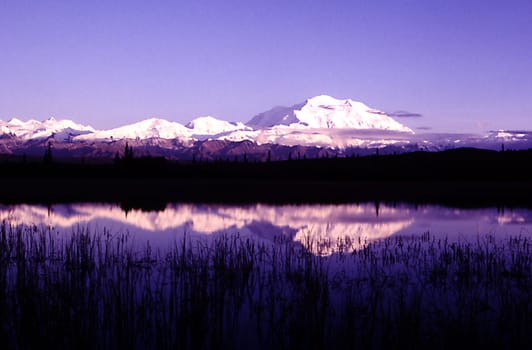 Mount McKindley (Denali) in Alaska in midnight sun photographed at 4 a.m. under difficult conditions (mosquitoes)