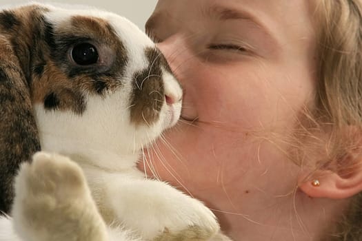My bunny
