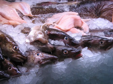 Fish sales