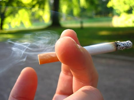 Cigarette