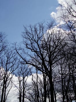 Bright spots