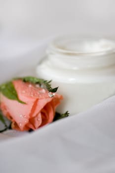 Moisturizer